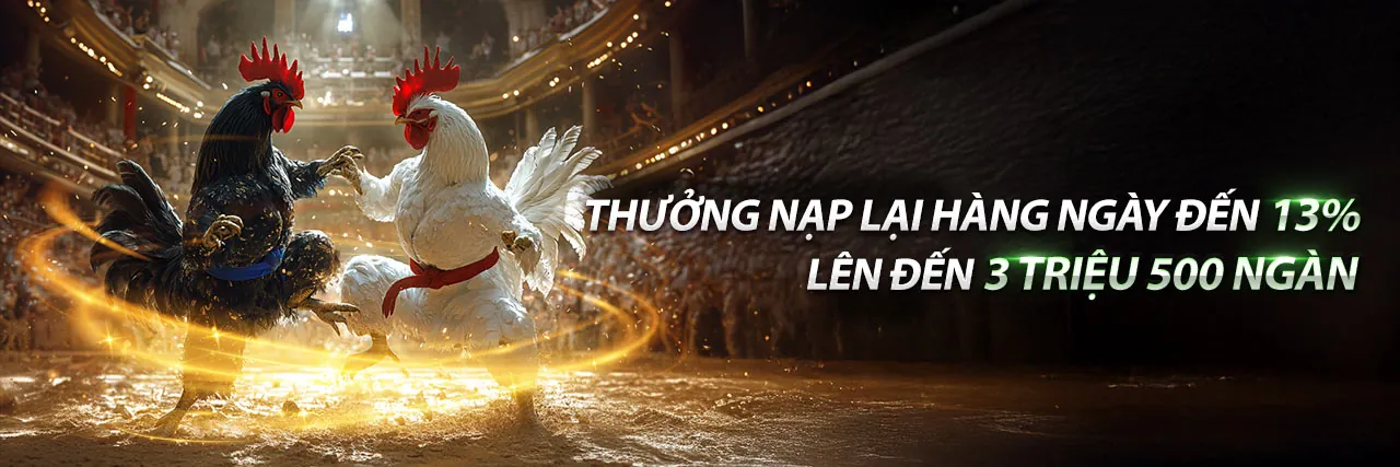 Đá gà trực tiếp hôm nay tại BenVip